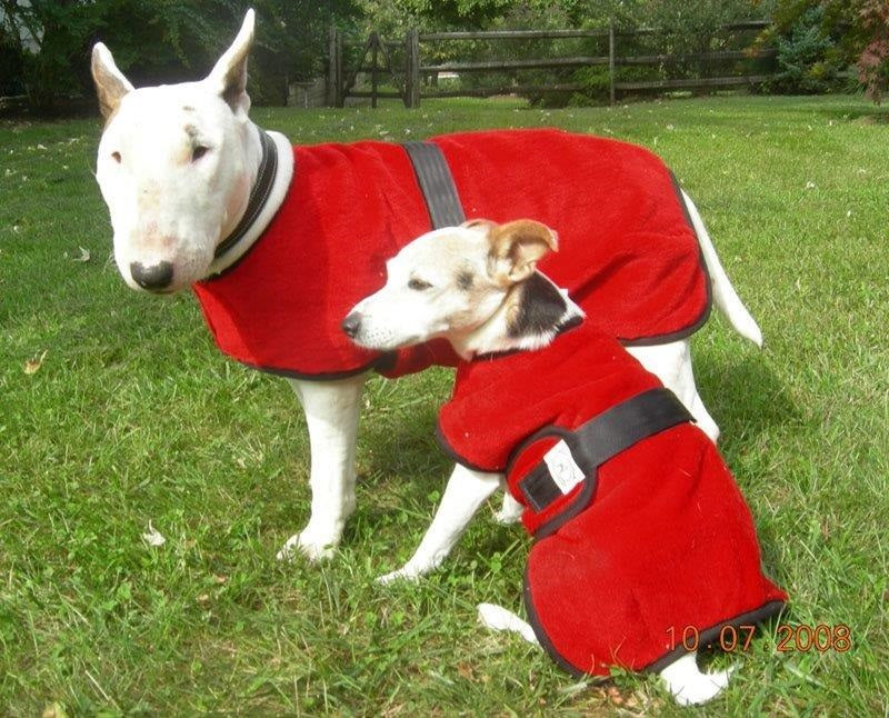 Foggy Mountain Dog Coat Snuggler, Large Sizes (18-28)