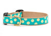 Up Country Dog Collar Teal Yellow Dot