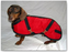 Foggy Mountain Dog Coat Nylon Turnout, Small Sizes (8-12)