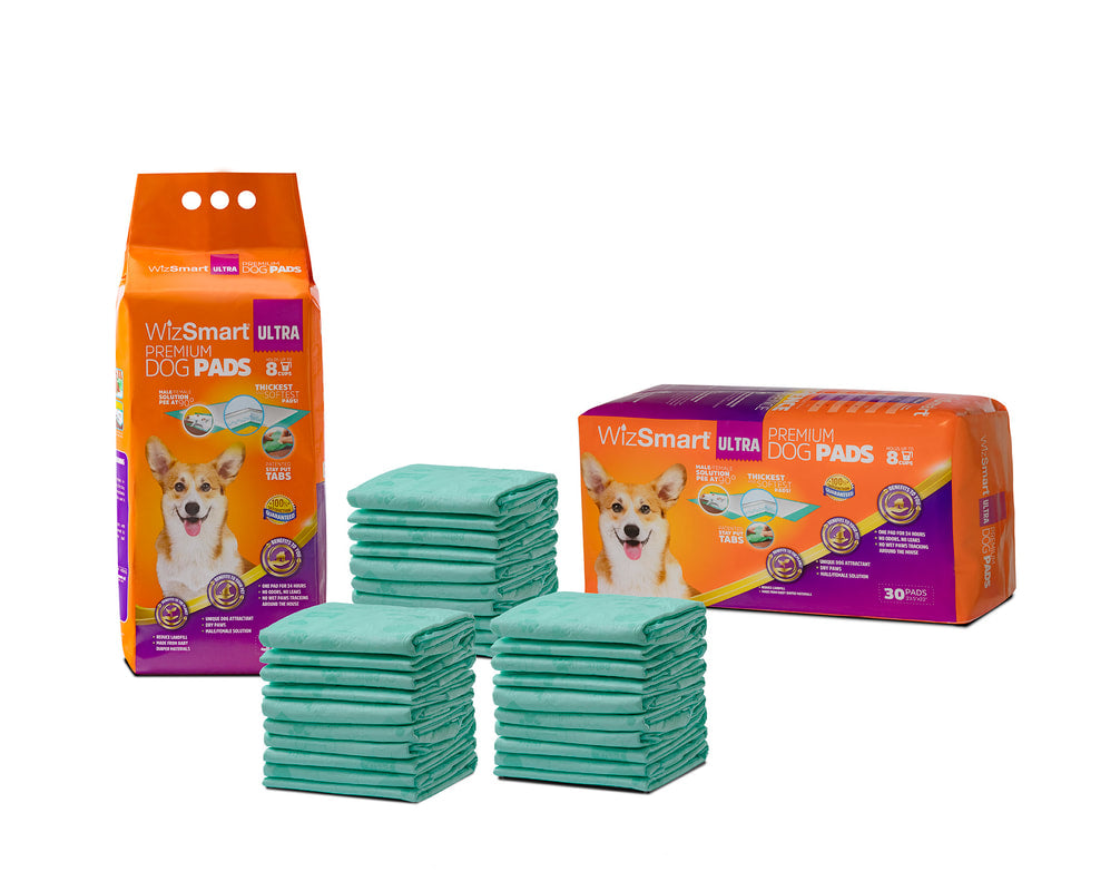 Wizsmart Dog Ultra Premium Training Pee Pads x 22